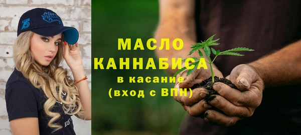 шишки Абаза