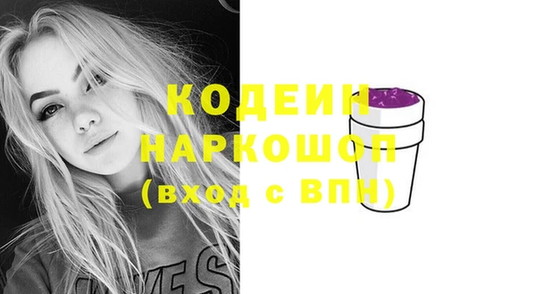шишки Абаза