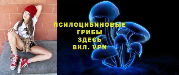 шишки Абаза