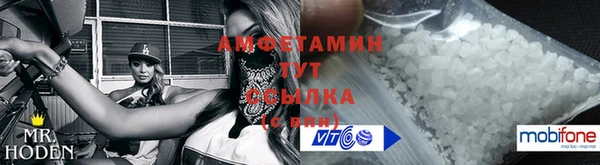 шишки Абаза