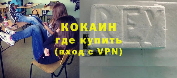 шишки Абаза