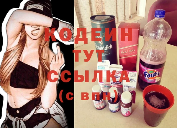 шишки Абаза